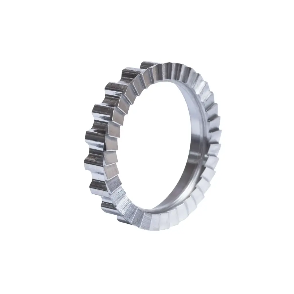 Ratchet Inox